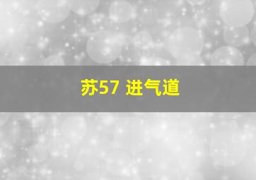 苏57 进气道